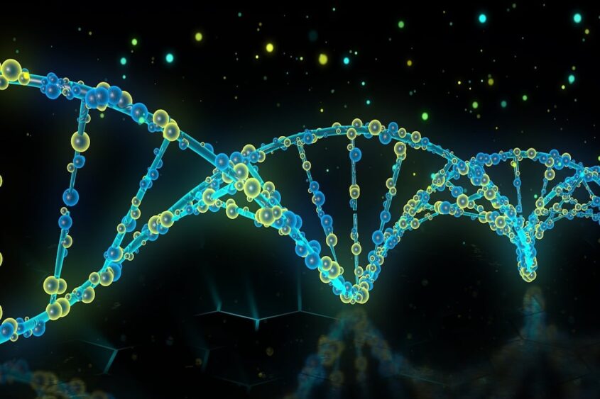 dna-6896923_1280
