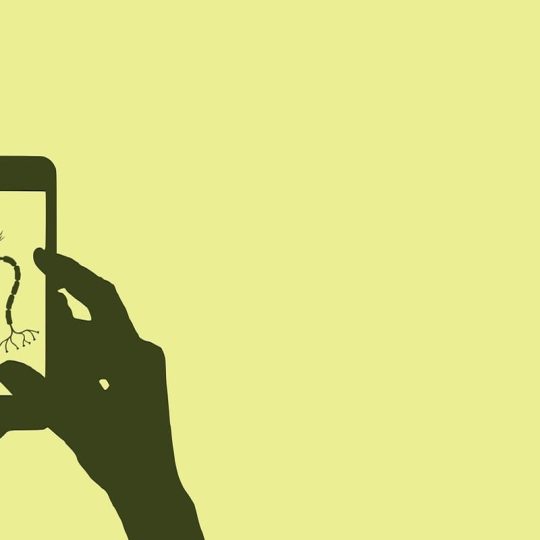 chenspec-telephone-6352038_1280