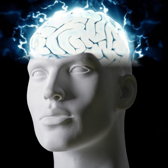 tumisu-brain-5885161_1280