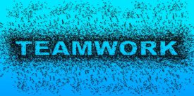 teamwork-4350877_1280